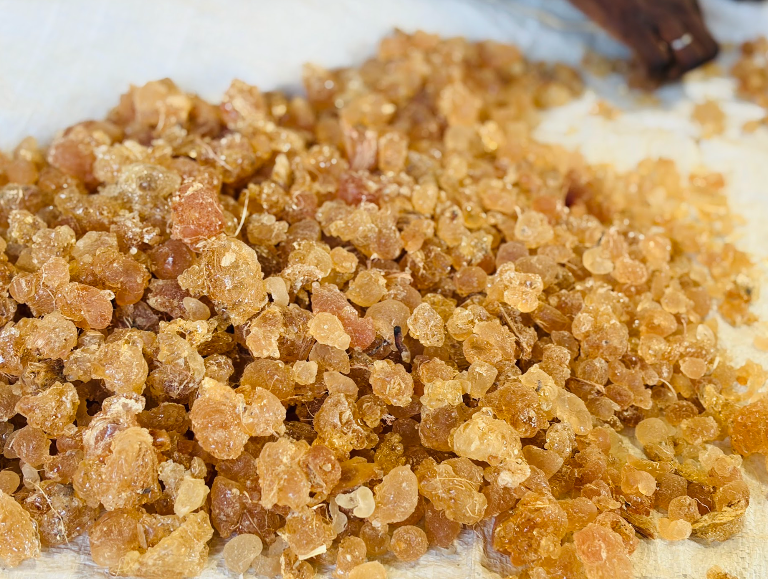Crude Gum Arabic